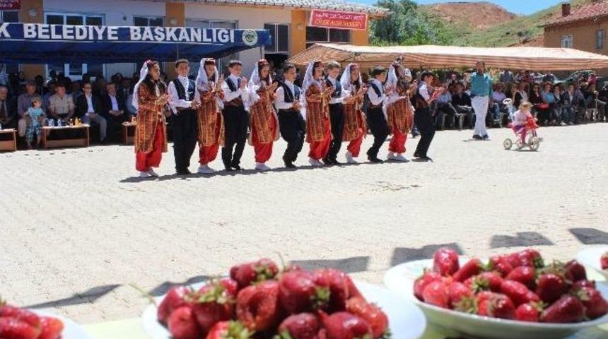 &Ccedil;ilek Şenliğinden Renkli G&ouml;r&uuml;nt&uuml;ler