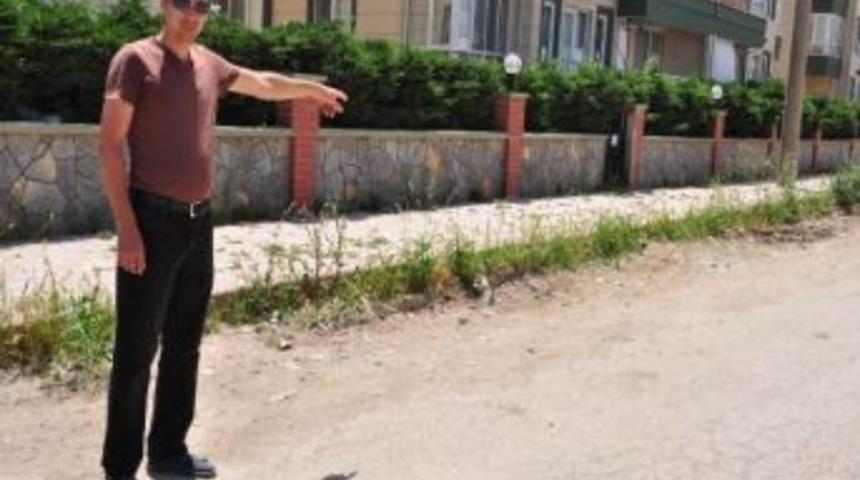 Vatandaşların Toz İsyanı