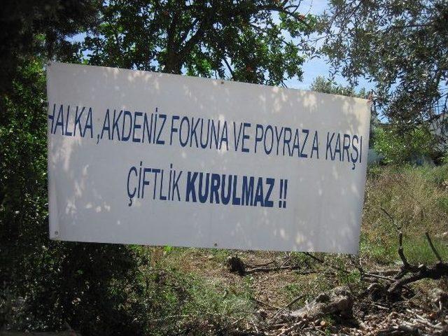 Karaburun Yarımadası, Balık Çiftliklerine Karşı Çıktı