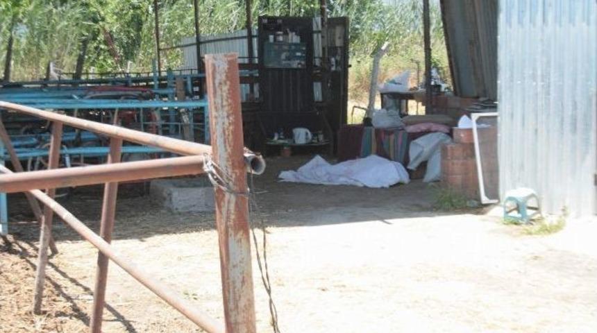 Yaşlı Adam Besi &Ccedil;iftliğinde &Ouml;l&uuml; Bulundu