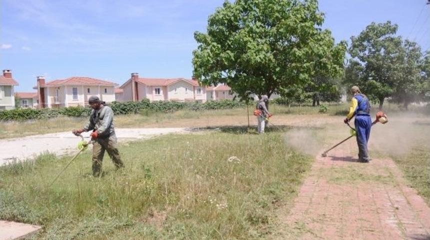 Kartepe'de Ot Bi&ccedil;me &Ccedil;alışmaları S&uuml;r&uuml;yor
