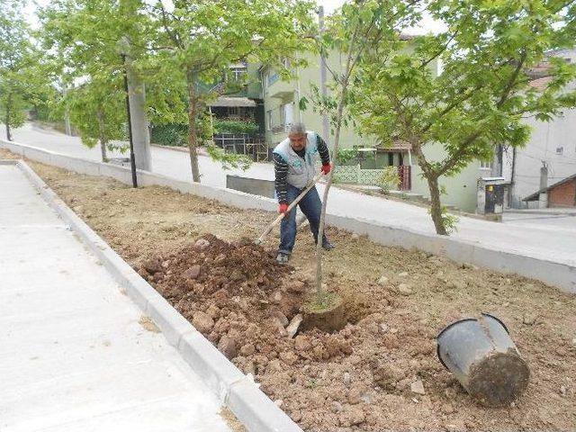İzmit&rsquo;te Parklarda S&uuml;rekli Bakım 1