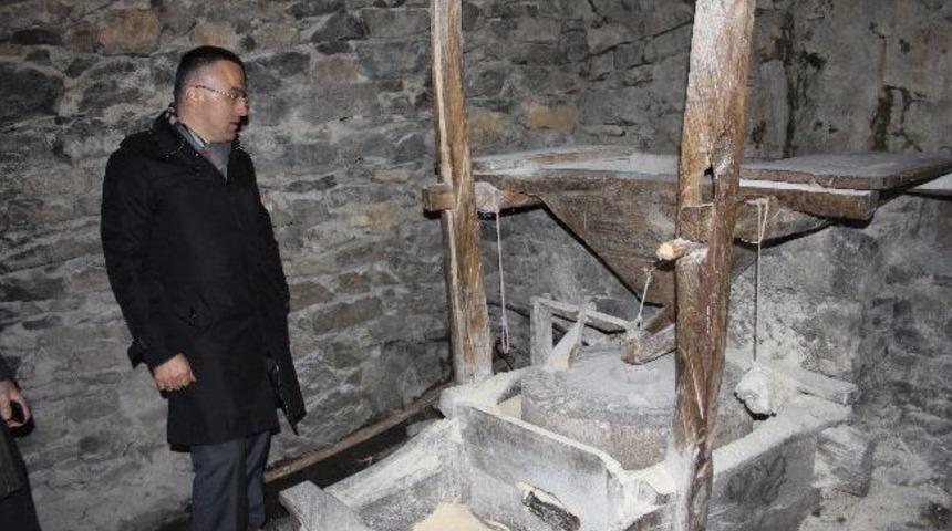 Giresun&rsquo;da Tabiat Parkı Kurulacak