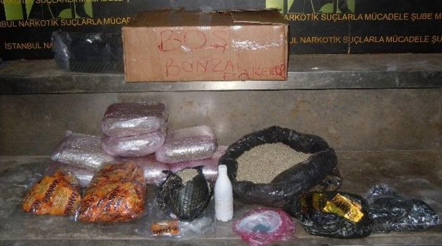 İstanbul Polisinden Bonzai Operasyonu