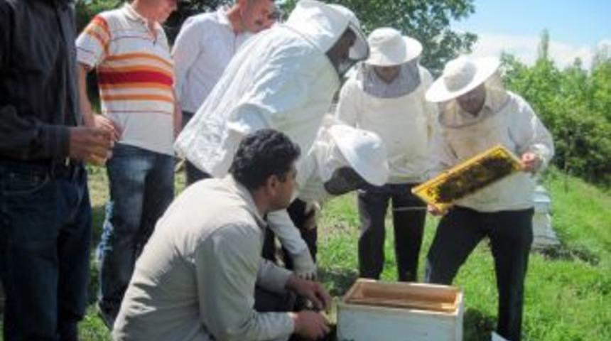 Amasya&rsquo;da &Ccedil;ift&ccedil;ilere Arıcılık Kursu Verildi