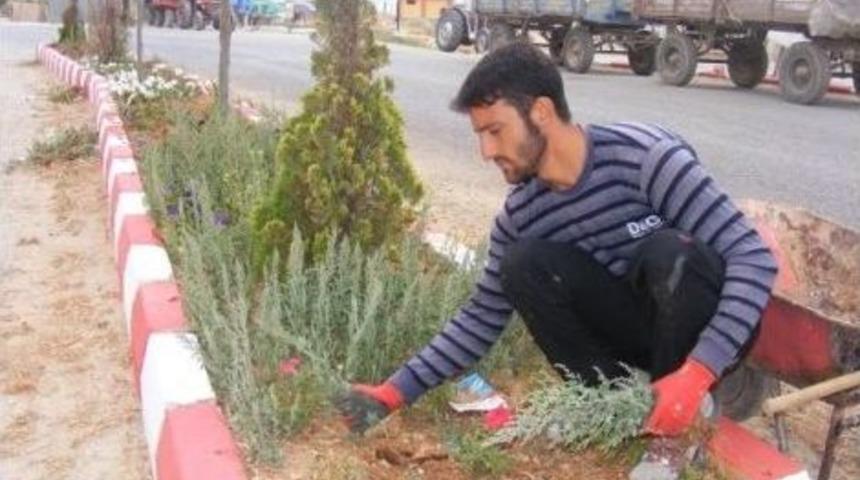 Altıntaş &Ccedil;i&ccedil;ek A&ccedil;tı