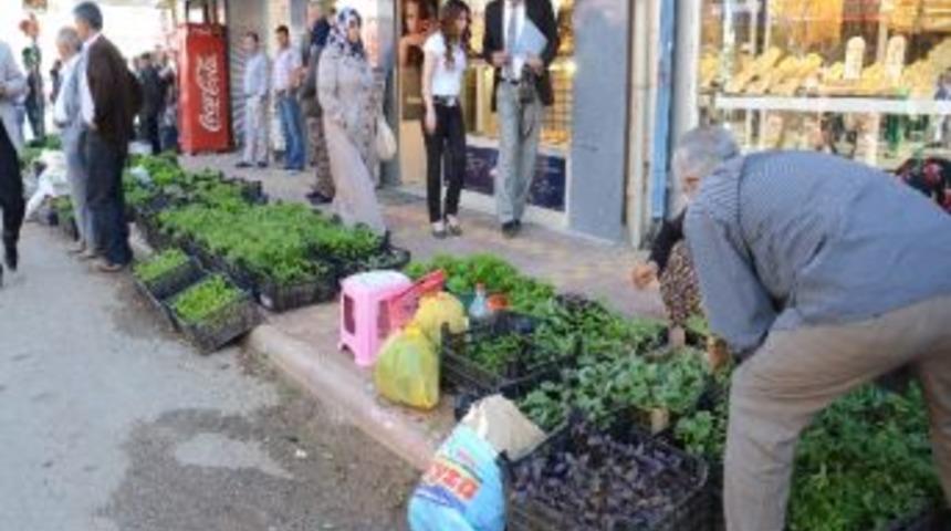 Elbistan&rsquo;da Caddeler Bostana D&ouml;nd&uuml;