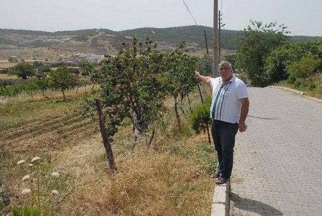 Horozgediği Halkından Yüksek Gerilim Hattına Tepki