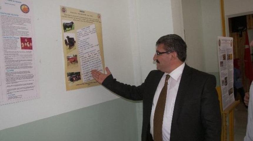 Laborant Ve Veteriner Sağlık B&ouml;l&uuml;m&uuml; &Ouml;ğrencileri Poster Sunumu Yaptı