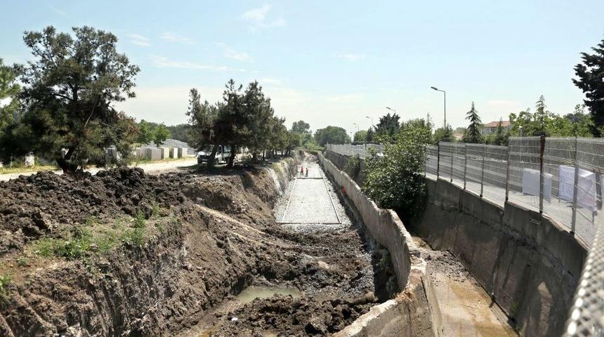 Florya Ormanı Yola Kurban!