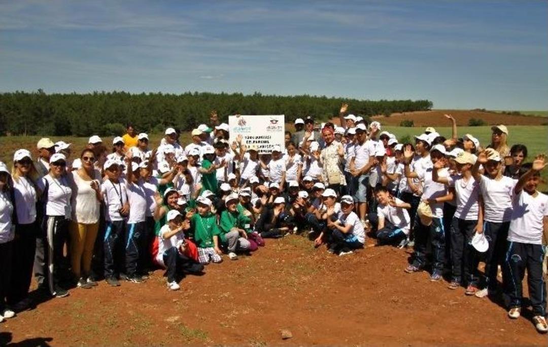 T&uuml;rk D&uuml;nyası Ormanı