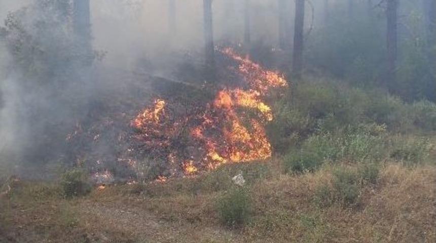 Manisa&rsquo;da Orman Yangını S&uuml;r&uuml;yor