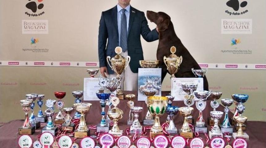 Madalyaya Doymayan K&ouml;pek Nero, D&uuml;nya İkincisi Oldu