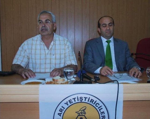 Dünya Arı Günü’nde Arının Önemi Anlatıldı 1