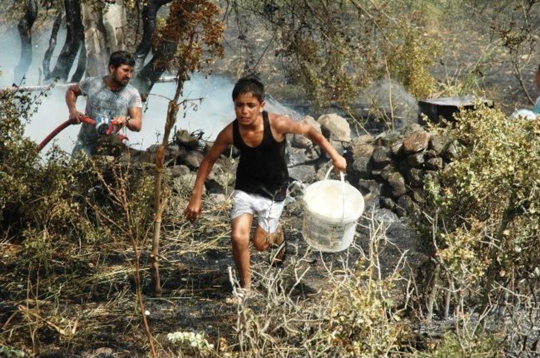 Bodrum K&uuml;le D&ouml;nd&uuml;