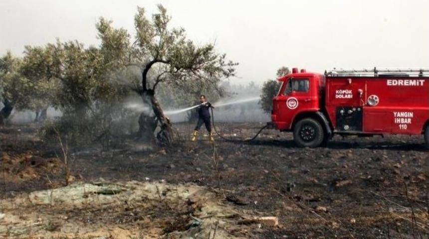 Edremit'te &Ccedil;&ouml;pl&uuml;k Yangını Zeytinliklere Sı&ccedil;radı