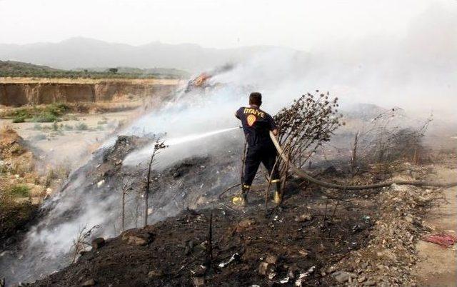 Edremit'te Çöplük Yangını Zeytinliklere Sıçradı