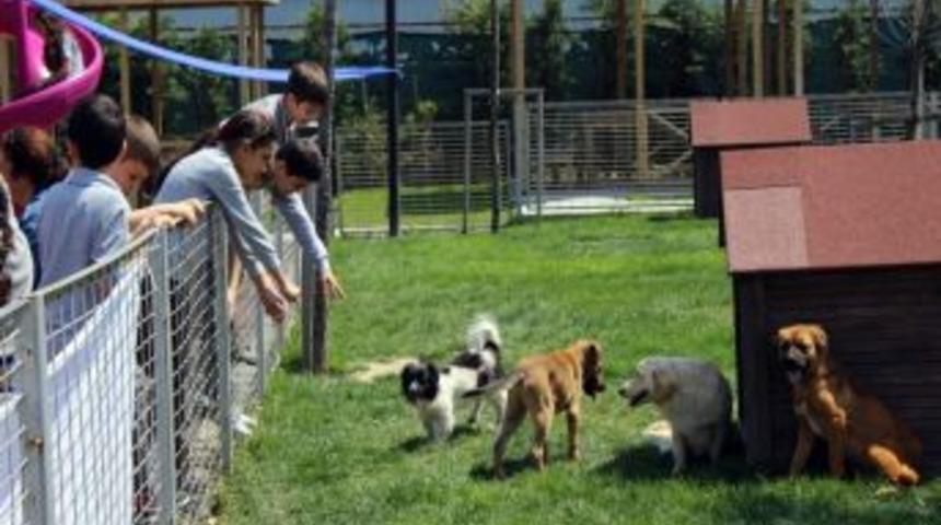 &Ouml;ğrencilerden Hayvan Bakım Evi&lsquo;ne Ziyaret