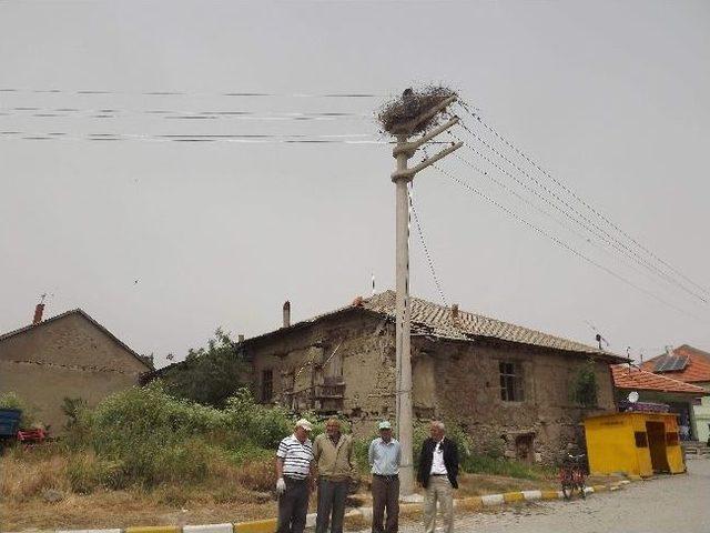 Kesecik Kasabası Leylekler Vadisine Dönüşüyor