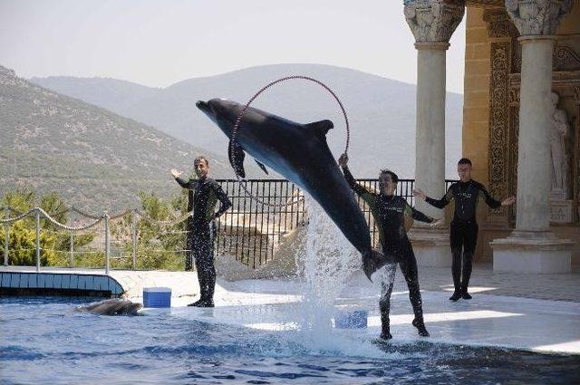 Adaland Aquapark&rsquo;a Kalite &Ouml;d&uuml;l&uuml; 2