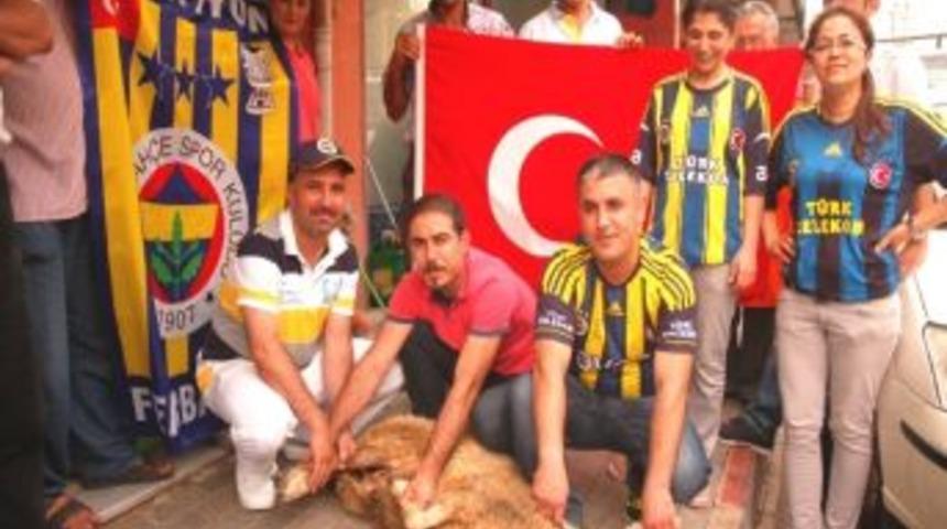 Aykut Kocaman'ın İstifa Haberi &Uuml;zerine Kurban Kestiler