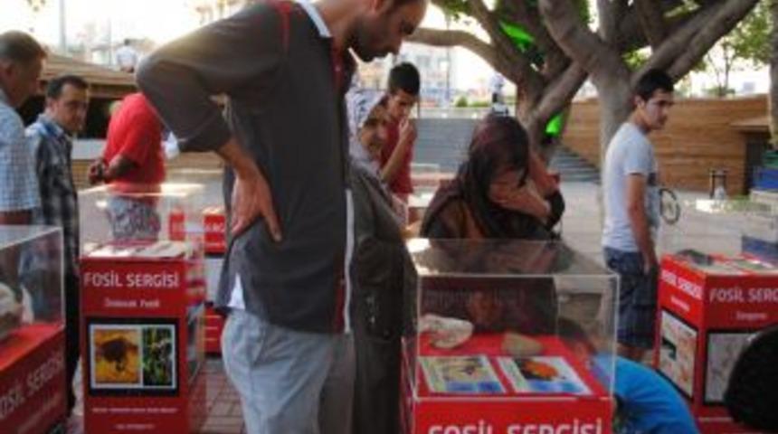 Manavgat'ta 400 Milyon Yıllık Fosil Sergisi A&ccedil;ıldı