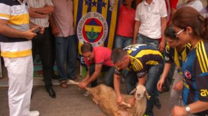 Aykut Kocaman Istifa Etti Diye Kurban Kestiler