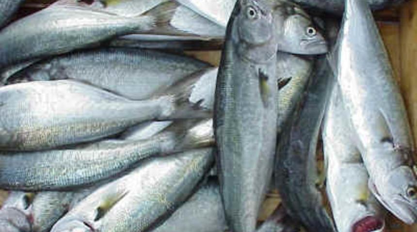 Ağız kokusuna son!