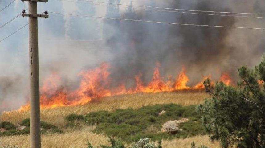 Lodos Urla&rsquo;yı cehenneme &ccedil;evirdi!
