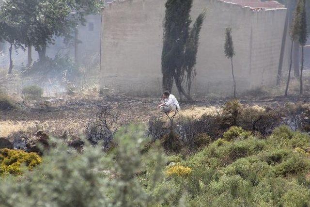 Lodos Urla’yı cehenneme çevirdi!