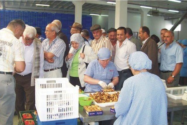 Birgili &Uuml;reticilerden İzmir&rsquo;e &ldquo;organik&rdquo; Gezi 1