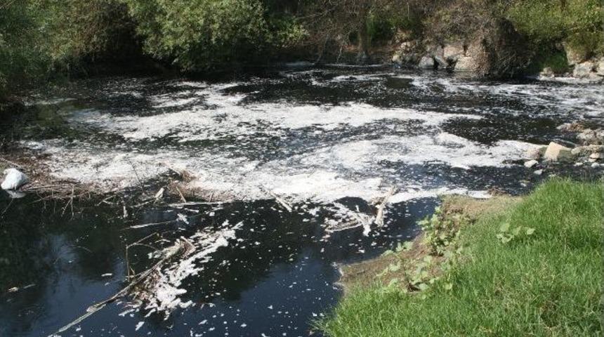 Chp'den K&uuml;&ccedil;&uuml;k Menderes Nehri İ&ccedil;in &Ccedil;evreci Eylem