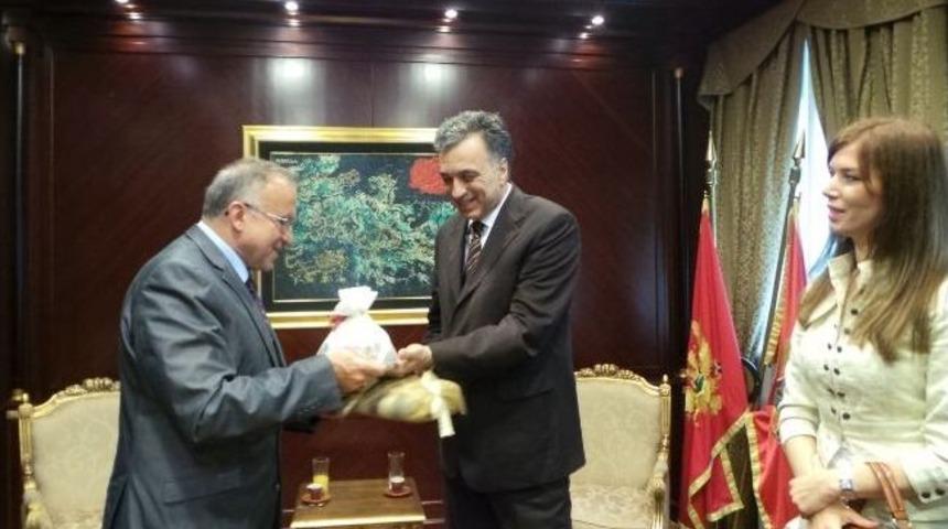 Başkan G&uuml;zelbey, Karadağ Cumhurbaşkanı İle G&ouml;r&uuml;şt&uuml;