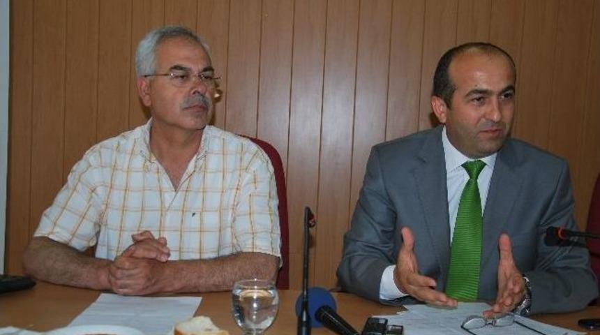 Aydın&rsquo;daki Arı &Ouml;l&uuml;mlerinin Sebebi Belirlendi