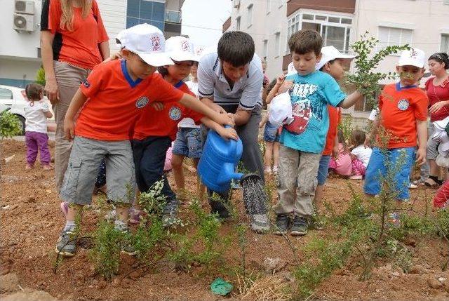 Muratpaşa&rsquo;da &Ccedil;evre G&uuml;n&uuml; Anısına Fidan Dikildi 2