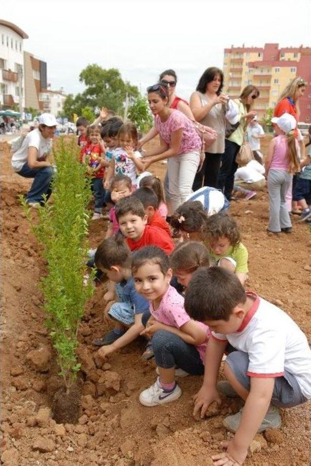 Muratpaşa&rsquo;da &Ccedil;evre G&uuml;n&uuml; Anısına Fidan Dikildi 3