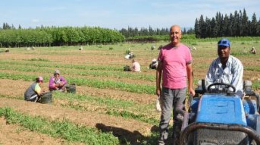 Torbalı Orman Fidanlığı Rekora Koşuyor