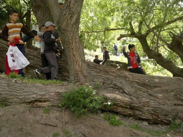 Semerkand Kağızmanlıları Piknikte Buluşturdu