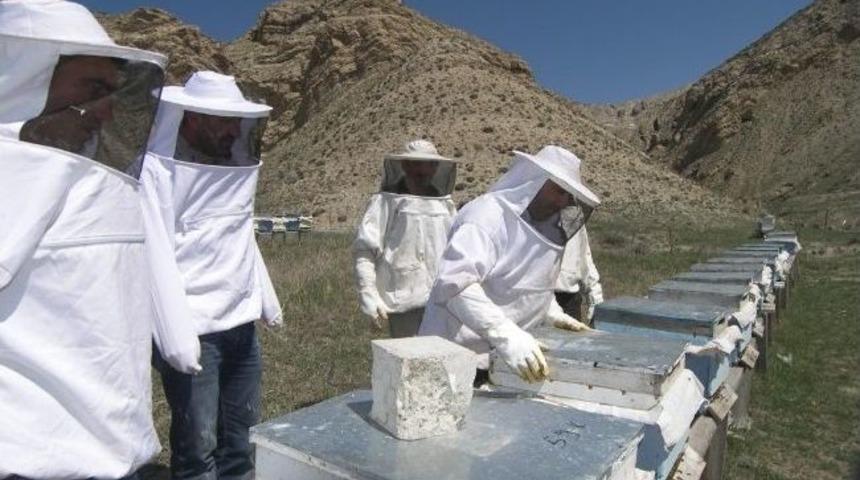 Narman&rsquo;da Arıcılık Kursuna Yoğun İlgi