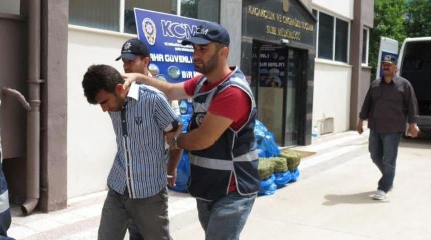 Malatya&rsquo;da 350 Kilo Esrar Ele Ge&ccedil;irildi
