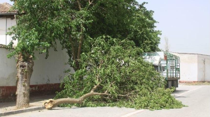 Saruhanlı&rsquo;da Şiddetli Fırtına