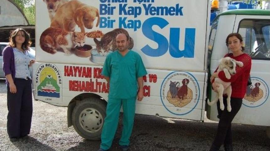 Hayvanlar İ&ccedil;in Acil Yardım Aracı Tahsis Edildi