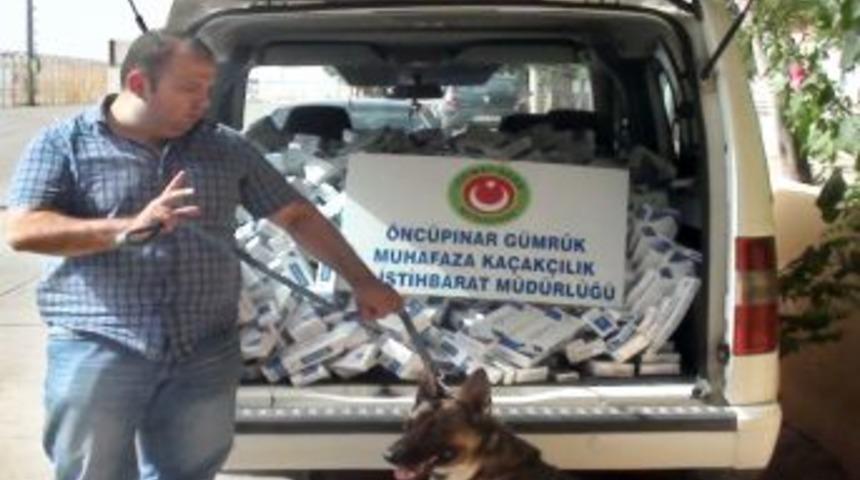 Jandarma Ve G&uuml;mr&uuml;k Ekipleri Ortaklaşa Binlerce Ka&ccedil;ak Sigara Ele Ge&ccedil;irdi