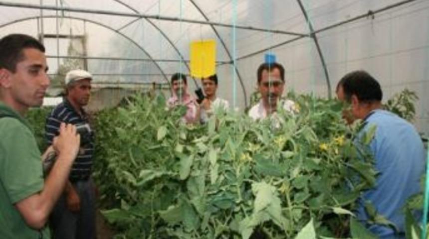 66 &Ccedil;ift&ccedil;iye Yapışkan Tuzak Dağıtıldı