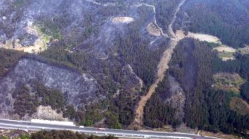 Yanan Orman Havadan G&ouml;r&uuml;nt&uuml;lendi