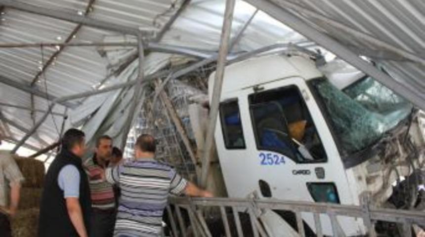 S&uuml;r&uuml;c&uuml;s&uuml; &Ccedil;ay I&ccedil;meye Gitti, Freni Boşalan Tavuk Y&uuml;kl&uuml; Kamyon Ahıra Girdi