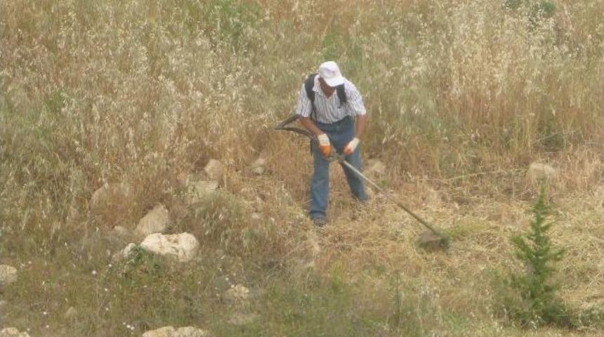 Yabani Otlar Temizleniyor