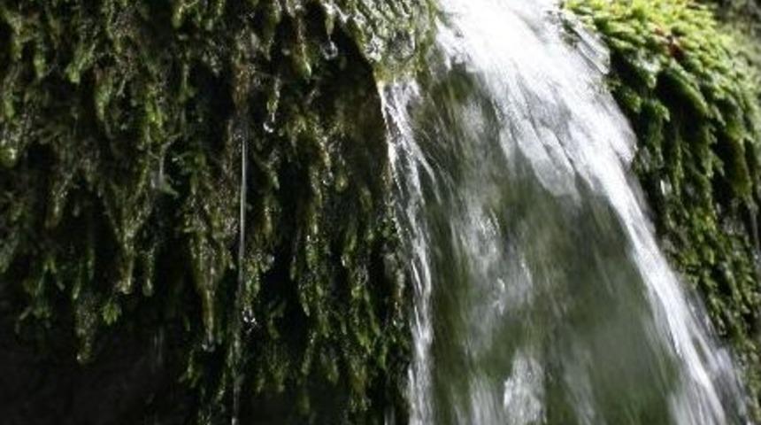 D&uuml;zce Doğal G&uuml;zelliği İle B&uuml;y&uuml;l&uuml;yor