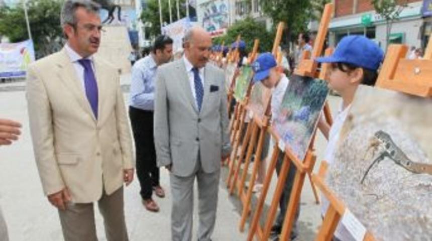 Gebze'de &Ccedil;evre Konulu Fotoğraf Yarışması