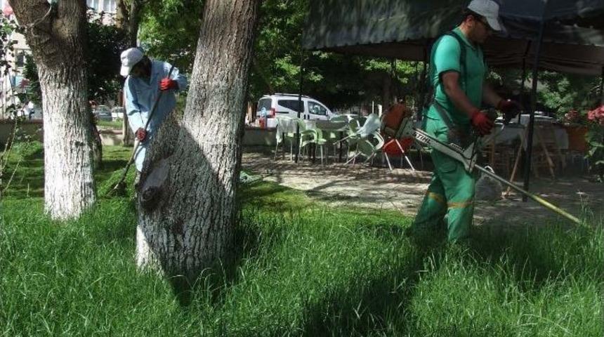 Çan Belediyesi’nden Bahar Bakımı